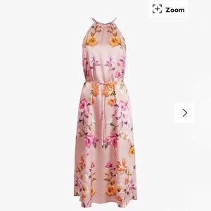Ted Baker NWT Pink Dress